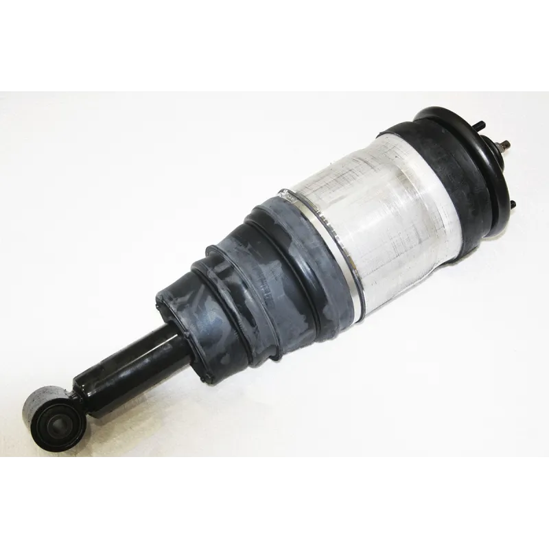 DAMPER - ASSEMBLY - REAR SUSPENSION