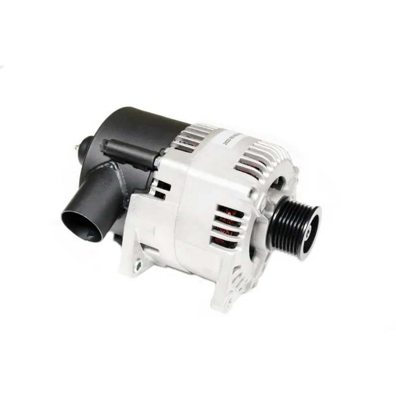 ALTERNATOR ASSY