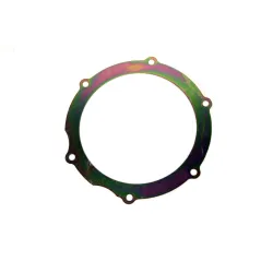 RETAINER - OIL SEAL - FITS RRC D1