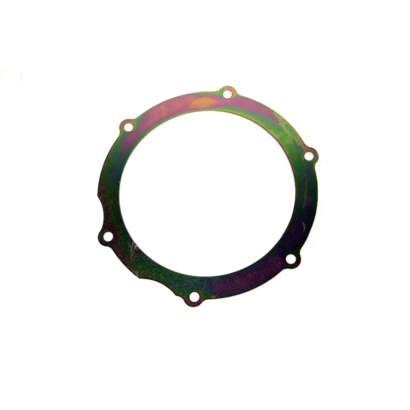 RETAINER - OIL SEAL - FITS RRC D1