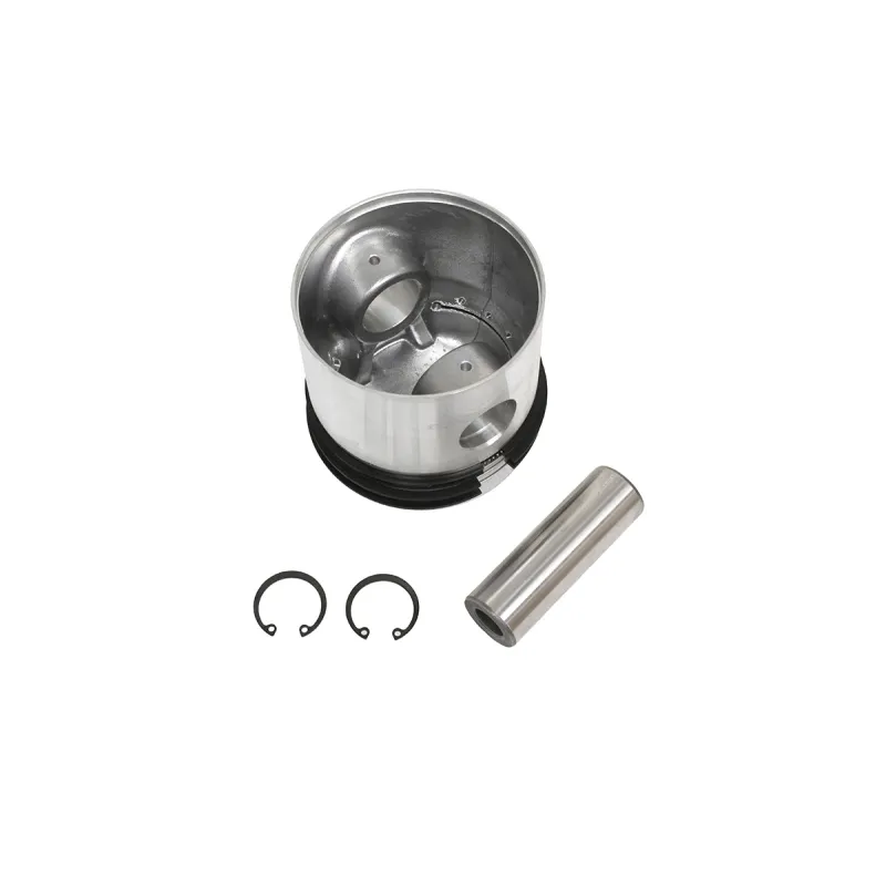 PISTON ASSY