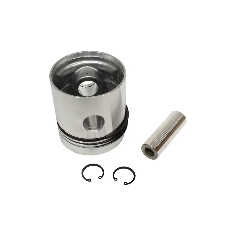 PETROL PISTON ASSY 030
