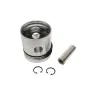PETROL PISTON ASSY 030