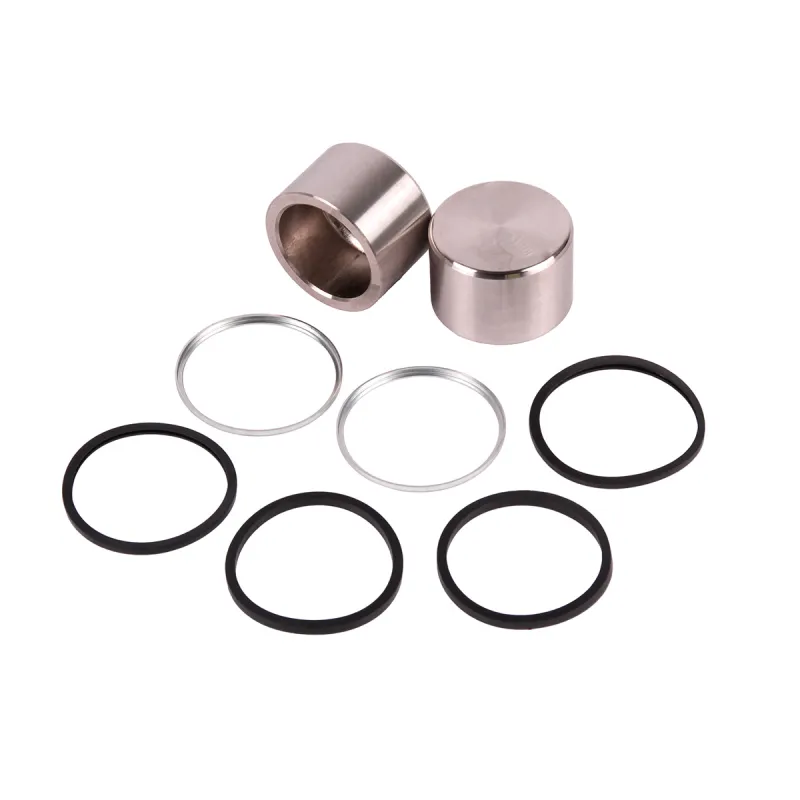 PISTON KIT - REAR CALIPER
