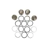 PISTON - CALIPER - FRONT BRAKES