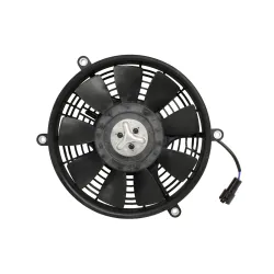 FAN