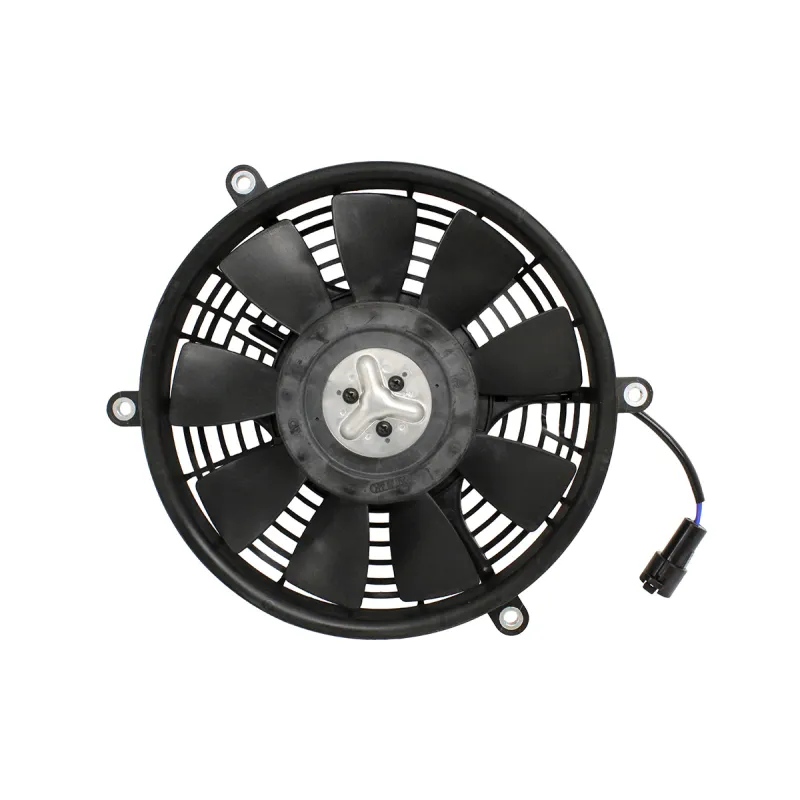 FAN