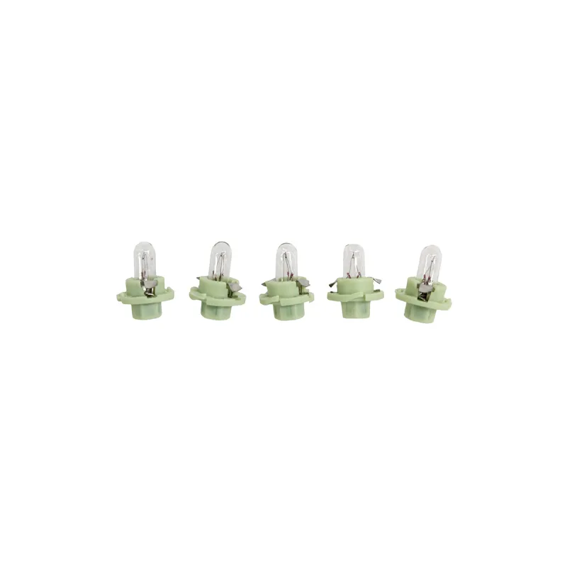 BULB AND HOLDER