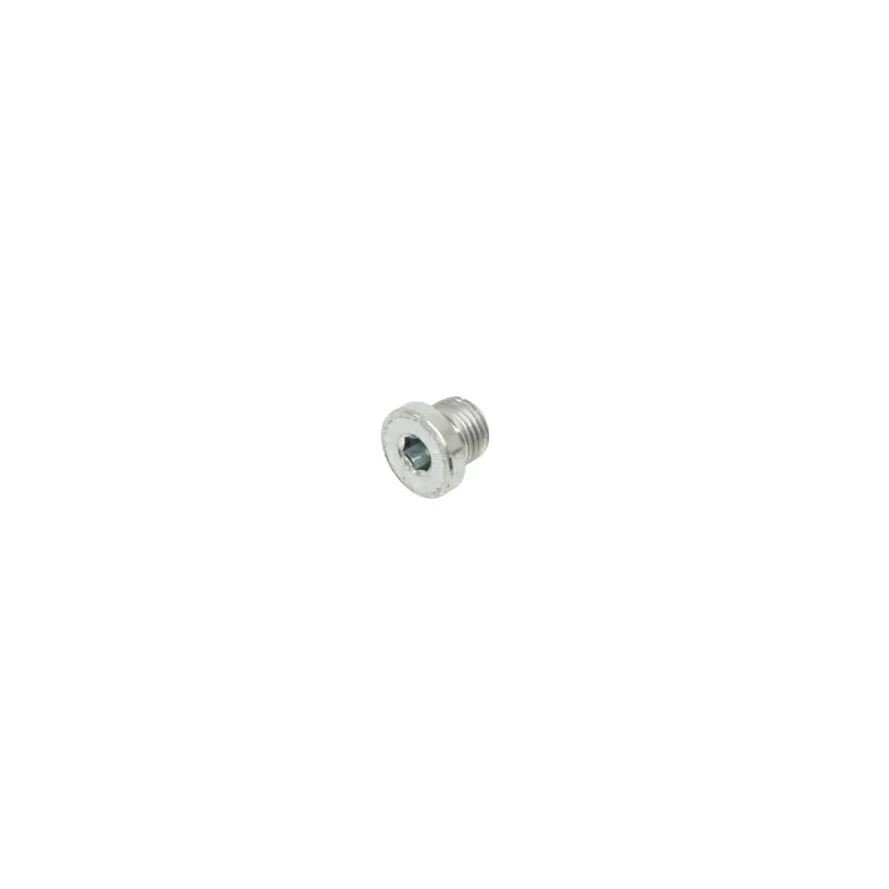 PLUG OIL DRAIN