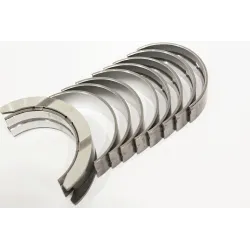 BEARING SET C/S STD