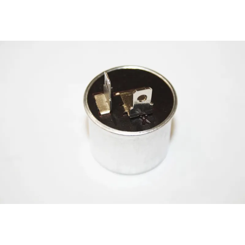 FLASHER UNIT - 2 PIN