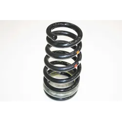 ROAD SPRING