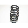 ROAD SPRING