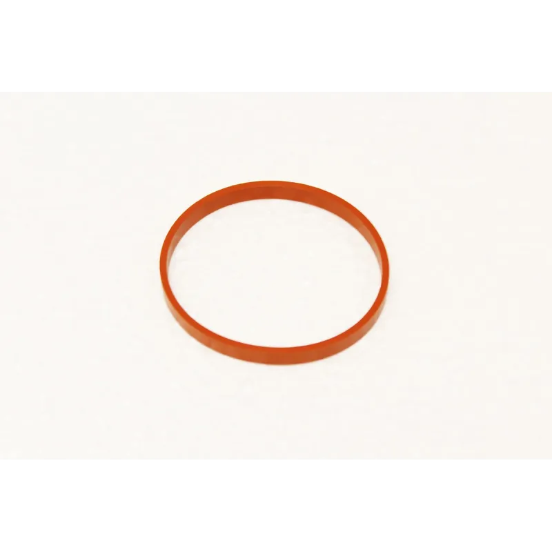 INLET GASKET
