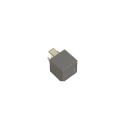 RELAY