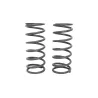 FRONT SPRINGS - 1" LOWER