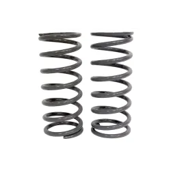 REAR SPRINGS - 1" LOWER