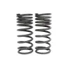 REAR SPRINGS - 1" LOWER