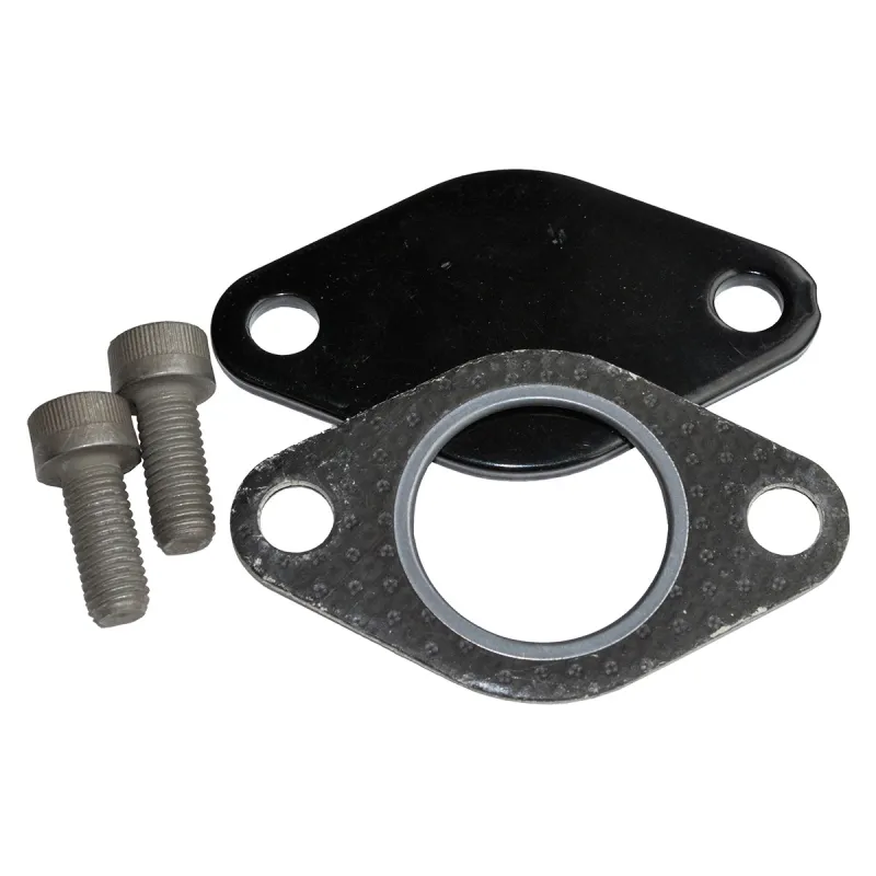 EGR REMOVAL KIT: DEF//D1/RRC - 300TDI