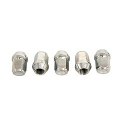 REPLACEMENT WHEEL NUTS - RVS - D2