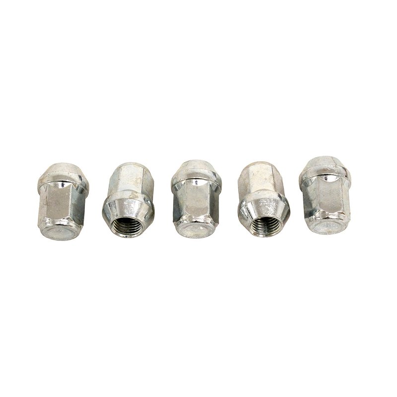 REPLACEMENT WHEEL NUTS - RVS - D2