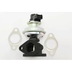EGR VALVE ASSY