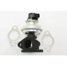 EGR VALVE ASSY