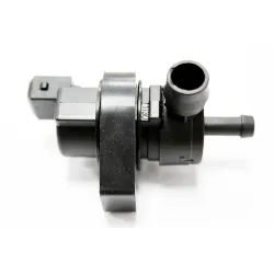 FUEL VAPOUR VALVE