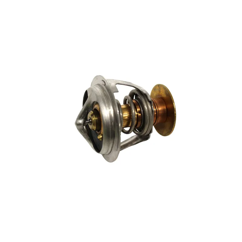 THERMOSTAT