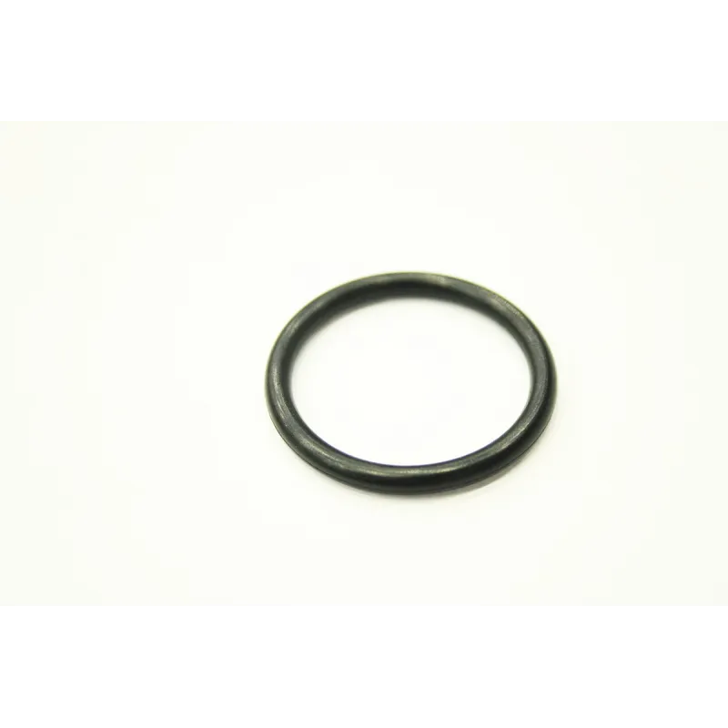 SEALING RING