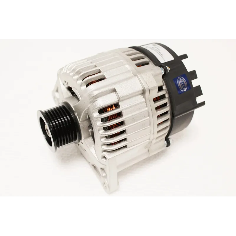 ALTERNATOR 300TDI 100A
