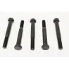 EARLY SHACKLE PIN