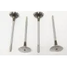 VALVE - EXHAUST