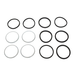 CALIPER - SEALS