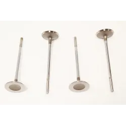 INLET VALVE