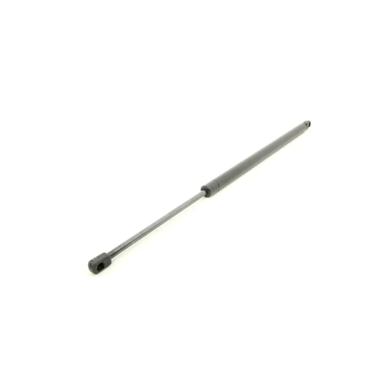 GAS STRUT - TAILGATE