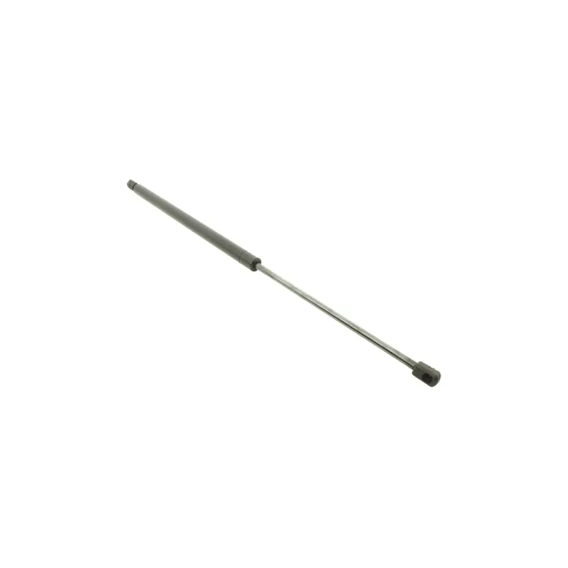 GAS STRUT - TAILGATE