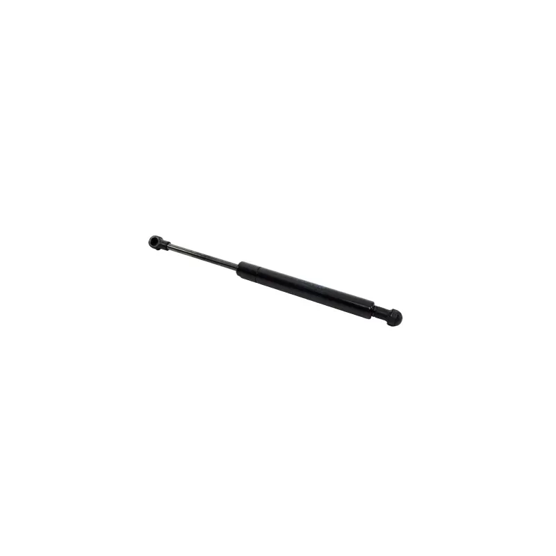 STRUT - GAS - HOOD