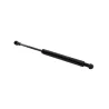 STRUT - GAS - HOOD