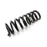 ROAD SPRING