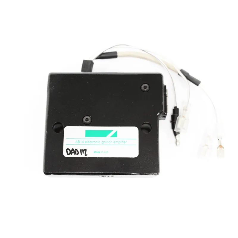 IGNITION MODULE