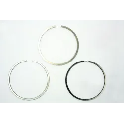 PISTON RING SET +20 TDV6