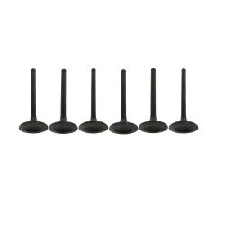 EXHAUST VALVE