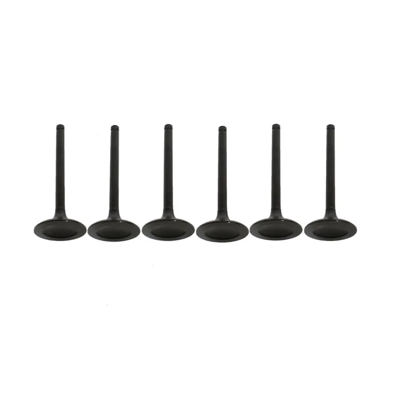 EXHAUST VALVE