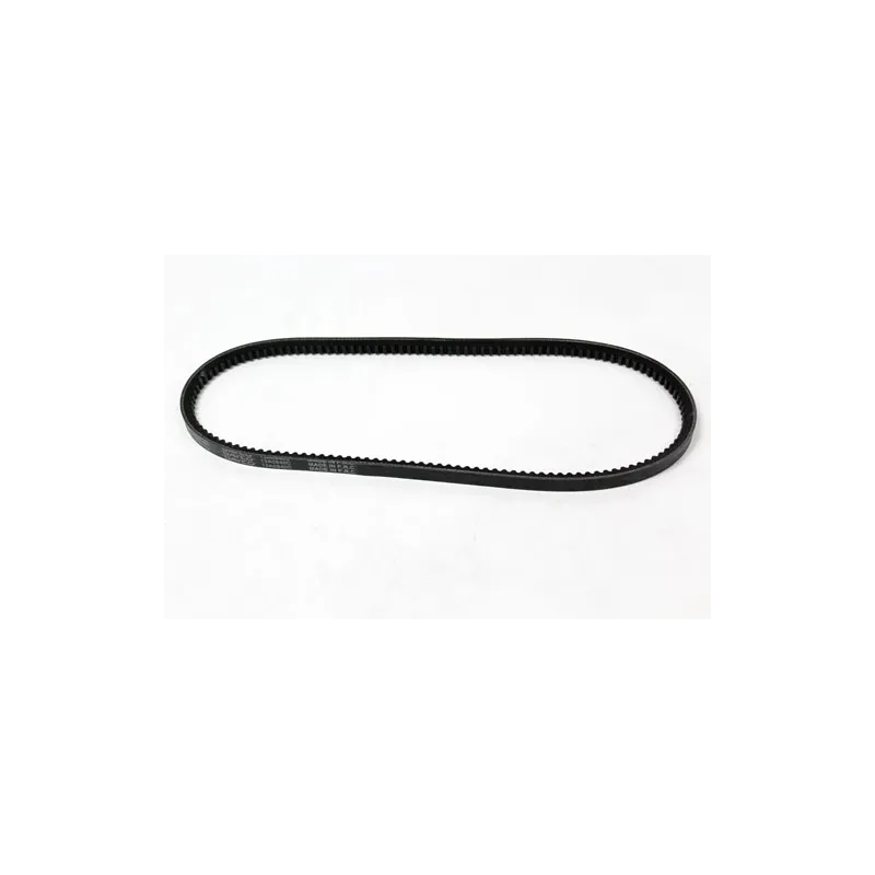 BELT - POLYVEE - V8