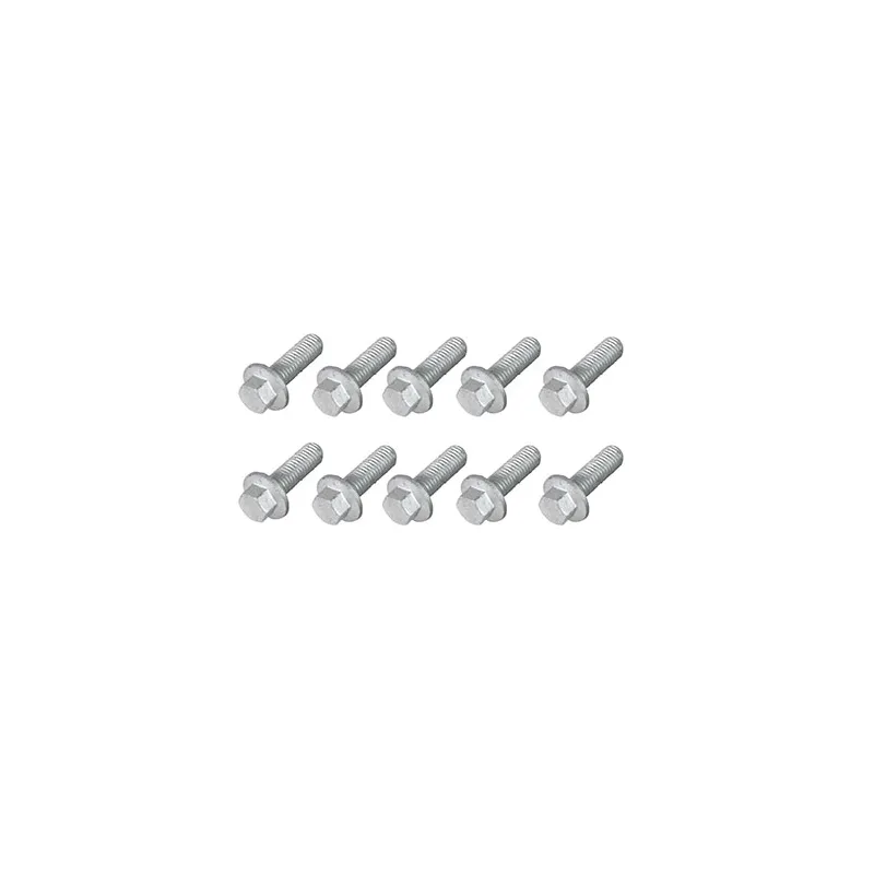 FLANGE SCREW