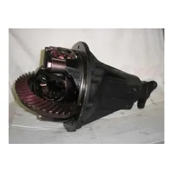 DIFFERENTIAL ASSY NEW