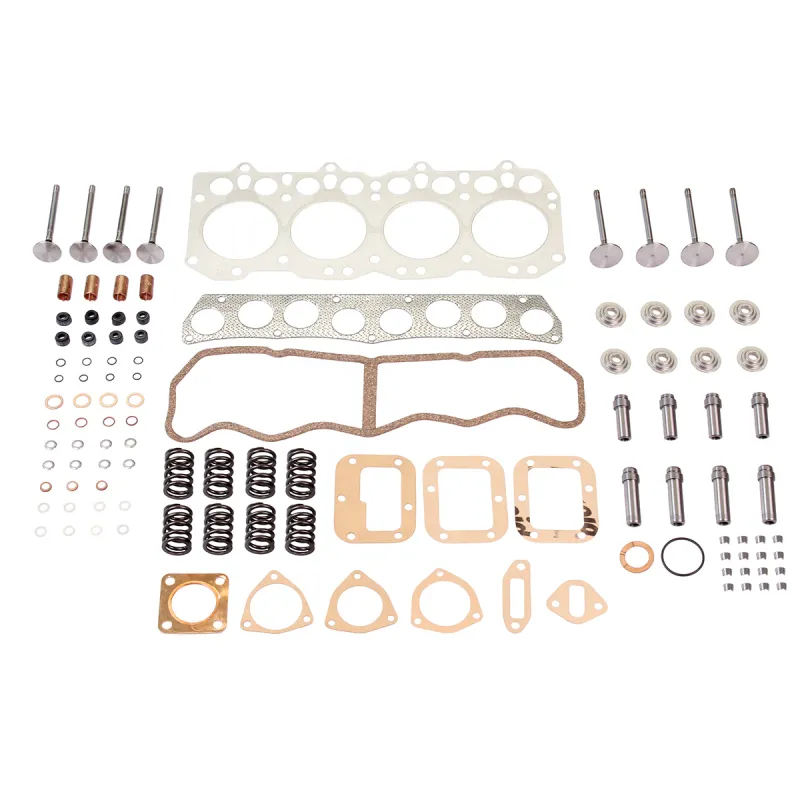 CYL HEAD OVERHAUL KIT - SERIES I