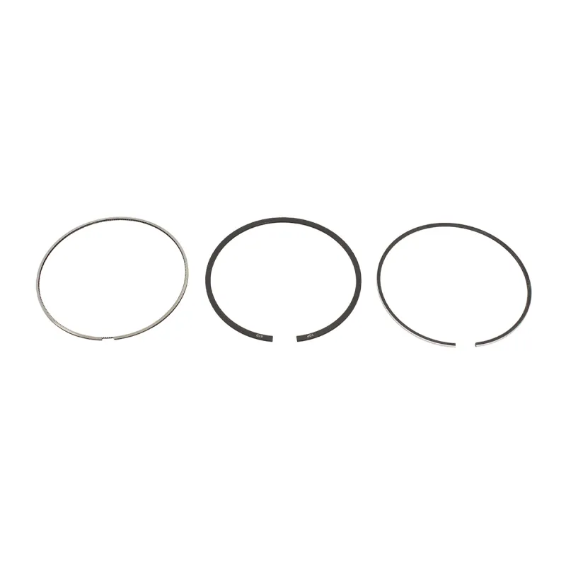 PISTON RING STD 204DTD