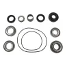FL2 REAR DIFF OVERHAUL KIT NO OIL (TO BH